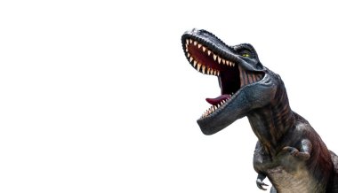 Tyrannosaurus (T-rex) beyaz arka planda izole edildi. Kullanımı çok kolay kırpma yolu ile dosya içerir.