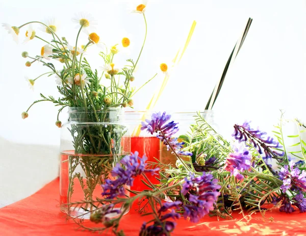 Coquetéis Verão Com Flores Silvestres Fundo Rosa Espaço Cópia — Fotografia de Stock