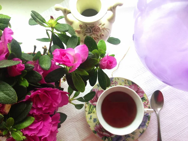 Morning Breakfast Hot Tea Pink Azalea Flowers Flat Lay — Stock Photo, Image