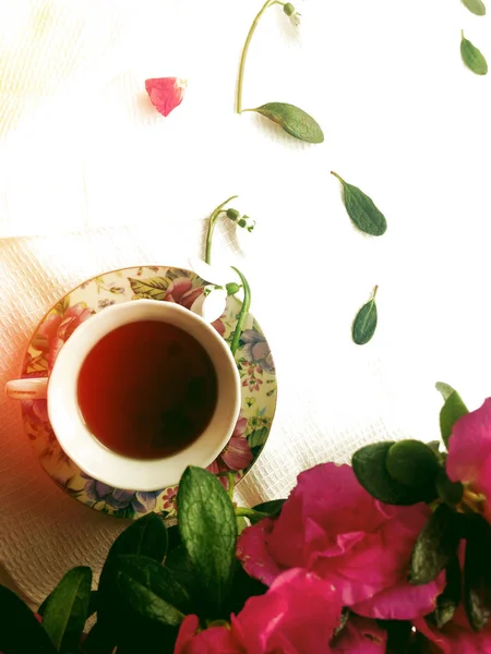 Horký Čaj Růžové Azalea Květiny Plochý — Stock fotografie