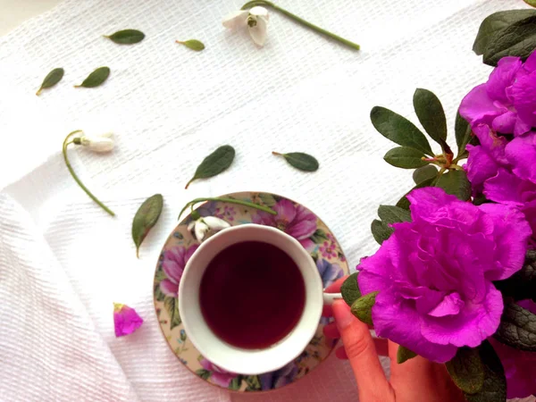 Sabah kahvaltı, sıcak çay ve pembe azalea çiçekleri düz yatıyordu. Kopya alanı.