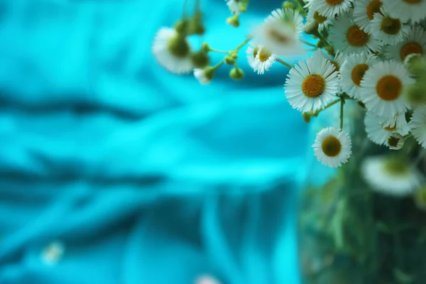 청록색 배경에 카밀레 꽃입니다 닫습니다 선택적 초점입니다 — 스톡 사진