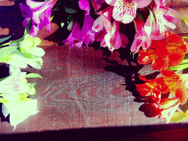 Букет Цветов Альстромерии Деревянном Фоне Закрыть — стоковое фото