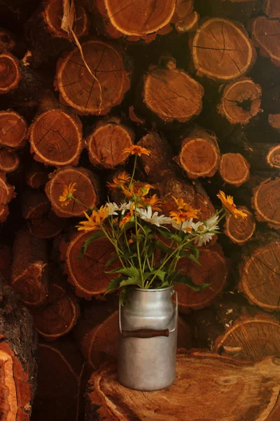Nyári Csokor Színes Virágot Napsütéses Napon Régi Víz Village Nature — Stock Fotó
