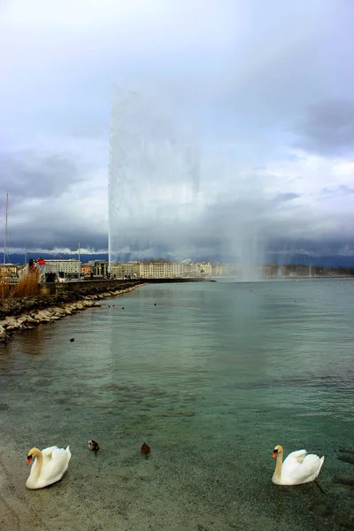 Slavný Švýcarský Pohled Ženevě Oblíbenou Fontánou Jezerem Deštivém Dni Toningefekt — Stock fotografie