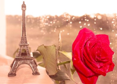 Papatya ve petunias parlak buket ile kutlama. Parlak pembe gerbera. Akşam güneşinden doğal bokeh. Parlak bir tatil. Seçici odak planlaması 