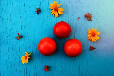 Vejetaryen organik yiyecekler - taze yaz ve sonbahar sebze. Üstten görünüm.