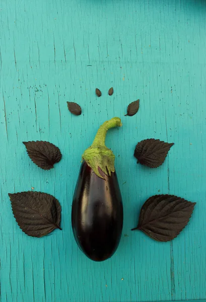 Eggplant Basil Blue Eggplant Colors Nutrient Rich Foods Concept Top — Stock Photo, Image