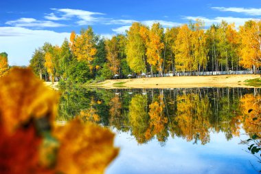 Renkli sonbahar orman zemin yansıması nehre ile