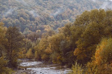 Sakin nehri olan sonbahar ormanı. Sonbahar arkaplanı.