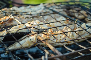 Piknik Barbekü kızarmış balık