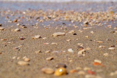 Deniz Plaj kumlu bir plaj ve taşlar