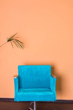 Koltuk mavisi stüdyo odası turuncu duvarlar ev, bitki palmiyesi