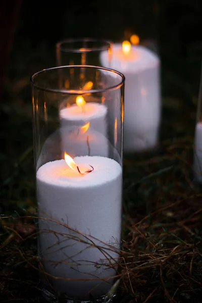 Posizione Nozze Foto Zona Candele Fiori Torta Foresta Radura Albero — Foto Stock