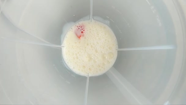 Frullato Papaya Con Filatura Latte Frullatore Vista Dall Alto Rallentatore — Video Stock