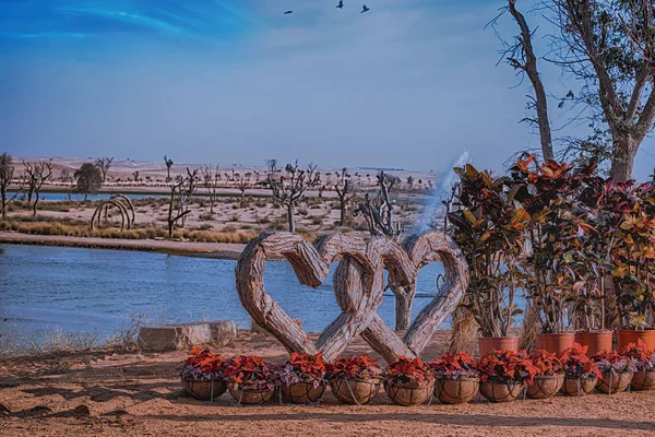 Drewniane Serce Uwikłany Dubaju Jezioro Miłości Fontanną Wody Wokół Miłość — Zdjęcie stockowe