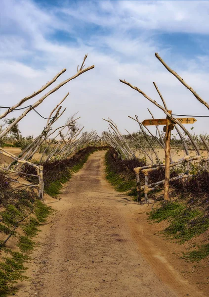 Pathway leading to lakes at Dubai Love Lake. Love Lake Dubai is the new tourist destination in Dubai.