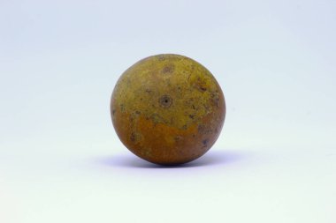 İzole Kuru Doğal Kabak