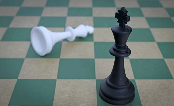 Black king defeats white king in chess