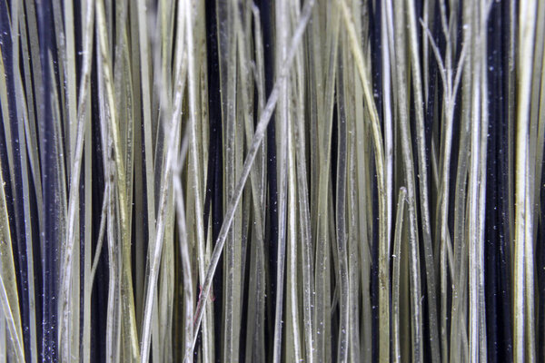 Detail of brush bristles