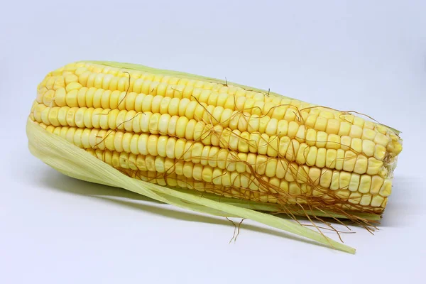Свежая Зеленая Кукуруза Белом Фоне — стоковое фото