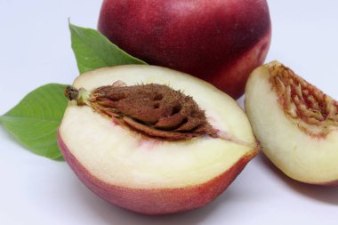 Nektarin beyaz arkaplanda izole edilmiş, dilimlere bölünmüş.