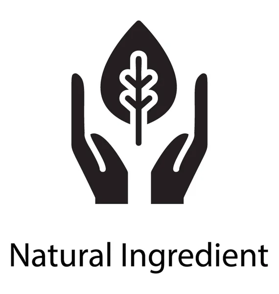 Una Hoja Manos Protegidas Que Representa Concepto Ingrediente Natural — Vector de stock