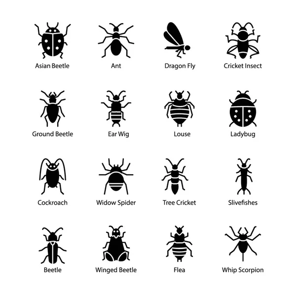 Conjunto Iconos Glifos Insectos — Archivo Imágenes Vectoriales