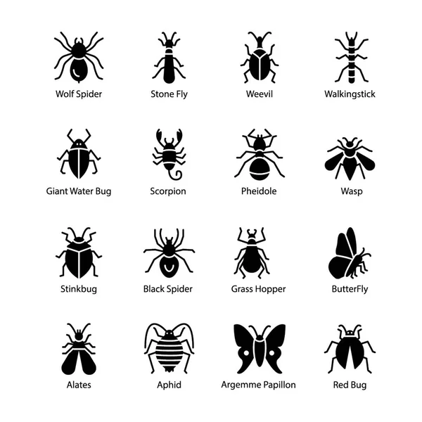 Insect Bug Pictogrammen — Stockvector