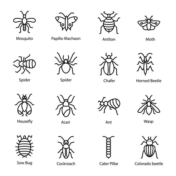 Set of Pest insect icons