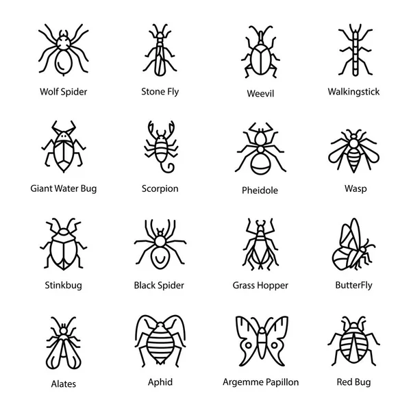 昆虫和 Bug 图标集 — 图库矢量图片