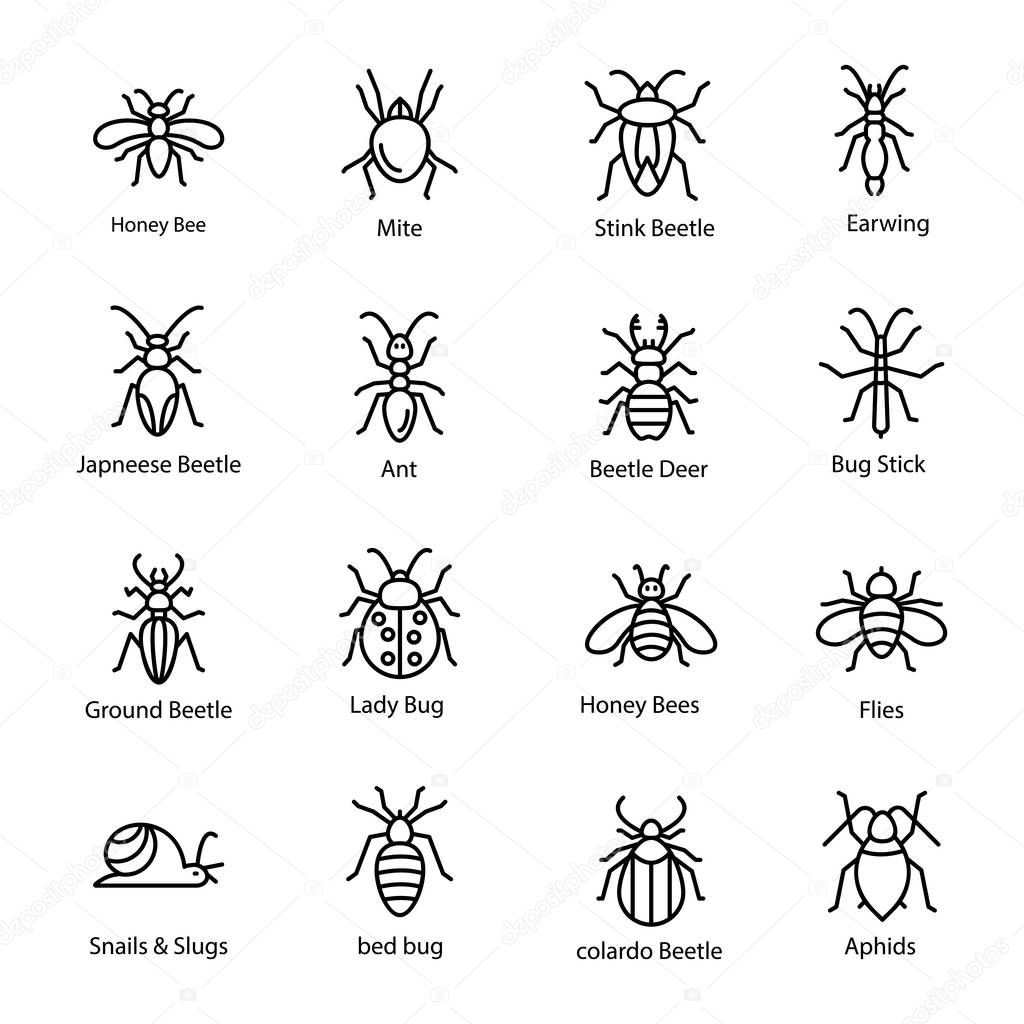 Set of Garden Bugs Icon