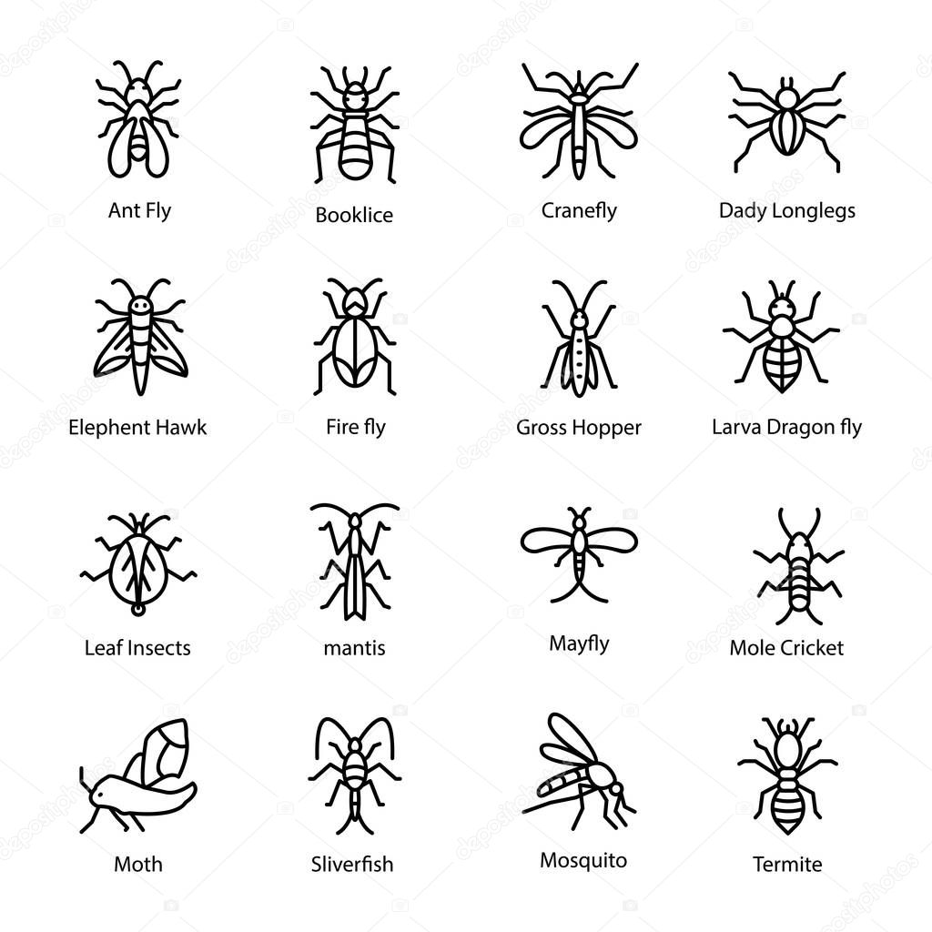 Set of Bug Line Icon 