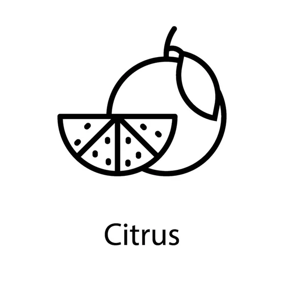 Frutas Com Folhas Sementes Interior São Cítricas — Vetor de Stock