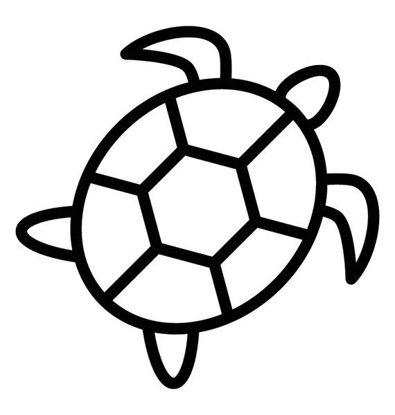 Icon Amphibian Animal Having Hard Shell Depicting Turtle — Stock Vector