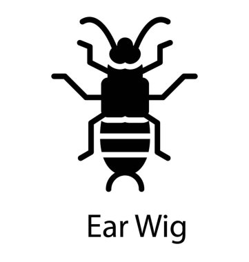 A small insect having small legs with a pointed back depicting earwig clipart
