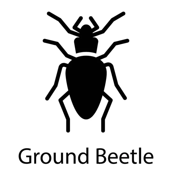 Pictogram Van Een Insect Van Grond Met Lange Benen Beeltenis — Stockvector