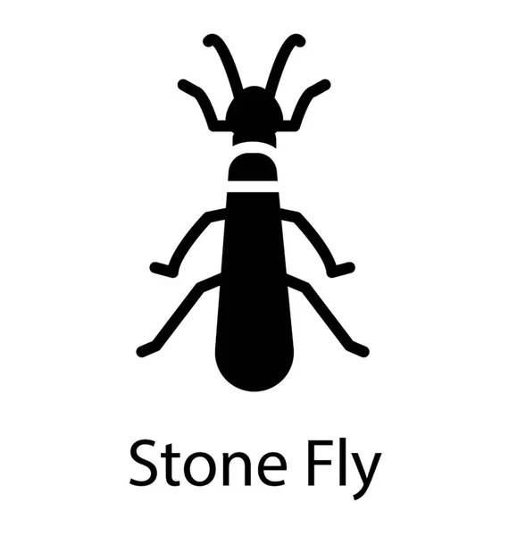 Uzun Bacaklı Bir Böcek Stonefly — Stok Vektör