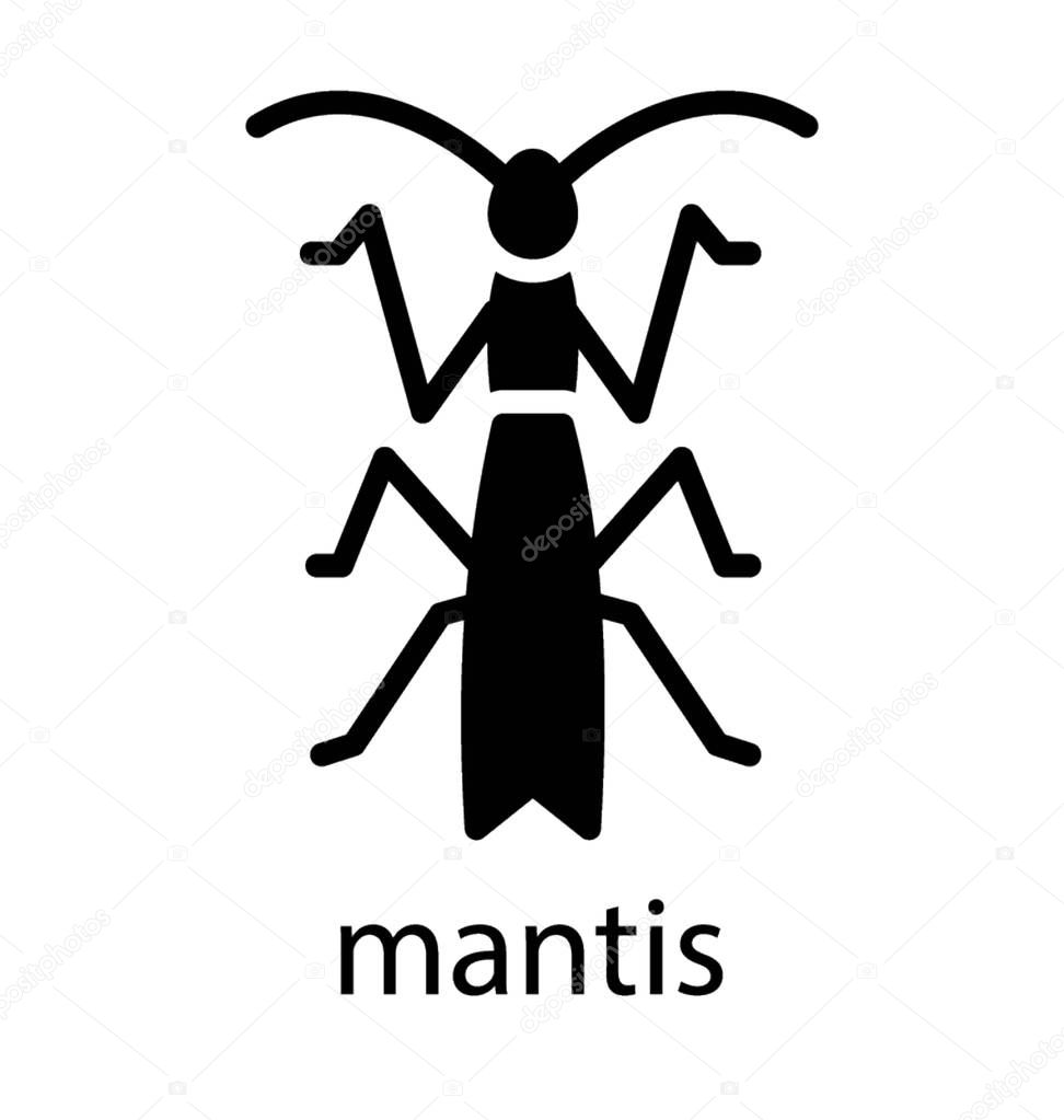A insect having long legs and antennas, mantis