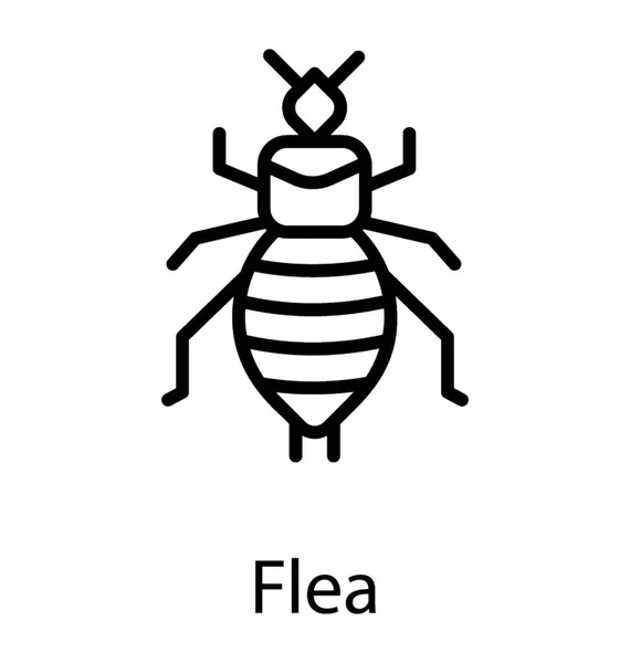 Insect Pointed Back Flea — Stock Vector