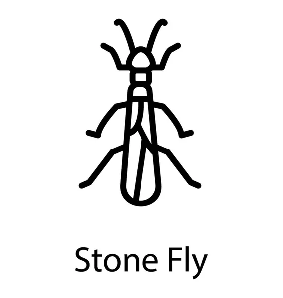 Een Insect Met Een Longs Benen Stonefly — Stockvector