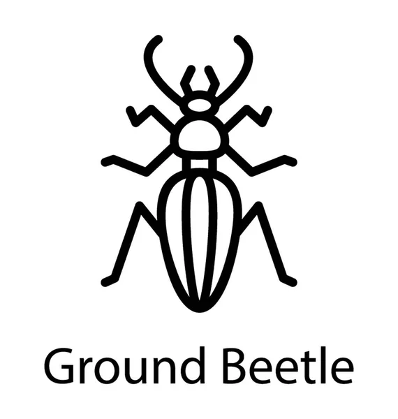有长腿的地面昆虫的图标描绘地甲虫 — 图库矢量图片