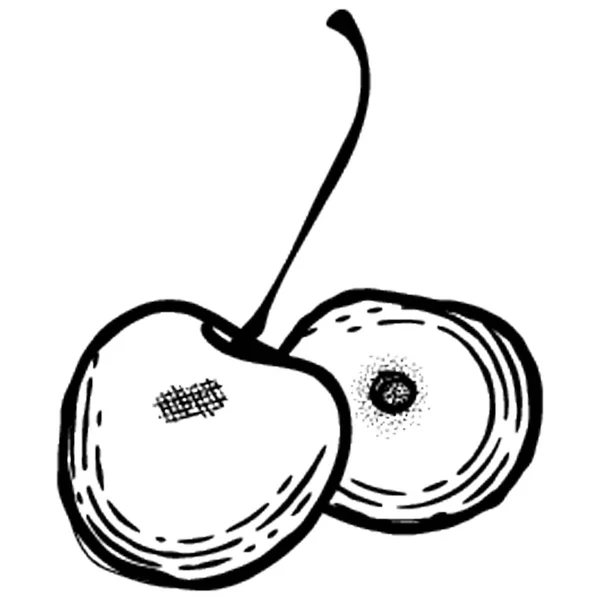 さくらんぼのペア健康的なフルーツ — ストックベクタ