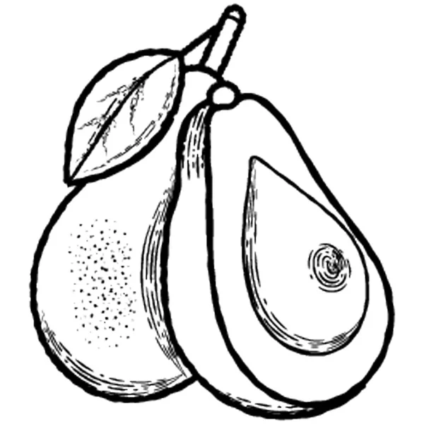 Avocado Als Gesundes Fruchtsymbol — Stockvektor