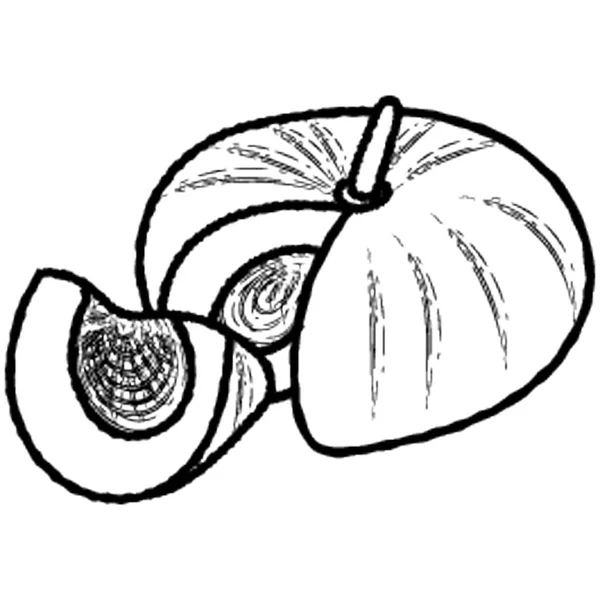Sebuah Ikon Melon Desain Makanan Sehat - Stok Vektor