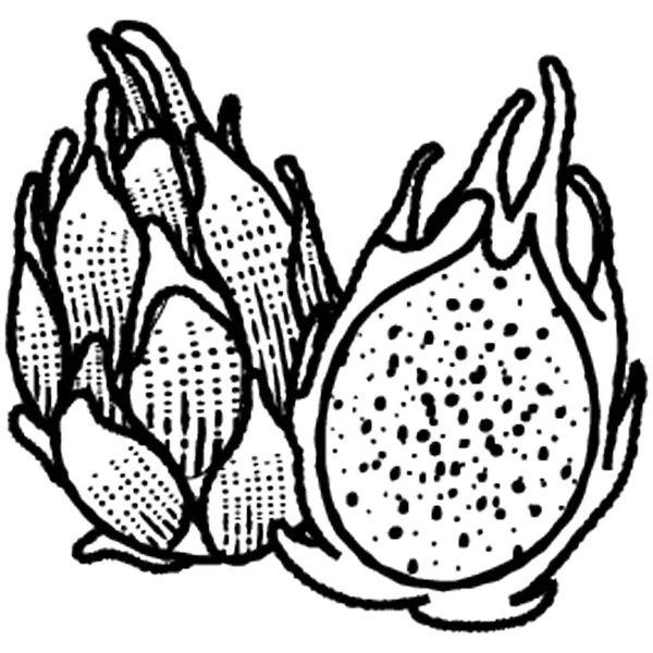 Eine Hälfte Geschnittene Pitaya Frucht Für Ein Gesundes Leben — Stockvektor