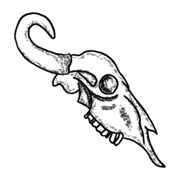 タトゥー作るのため動物スカル デザイン — ストックベクタ