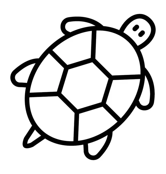A sea animal and reptile with shell body turtle