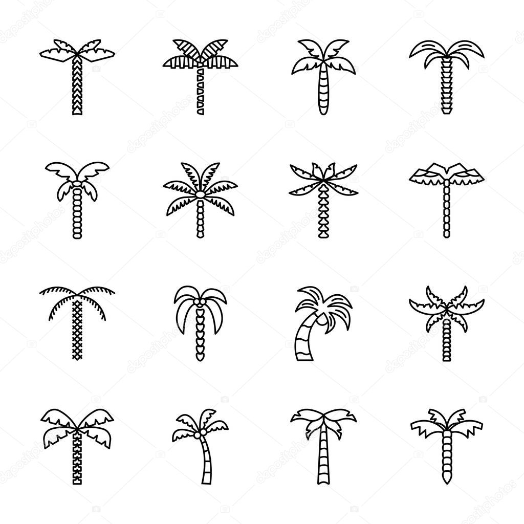 Palm Plant Icons Pack 