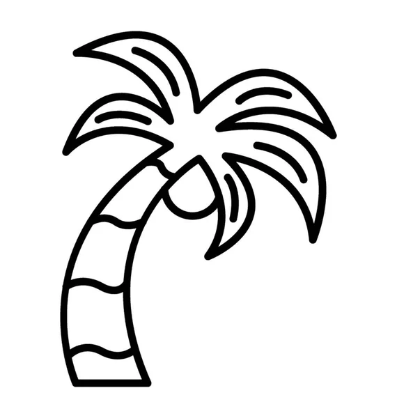Palmeira Tronco Longo —  Vetores de Stock